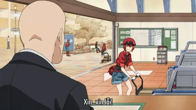 Xem phim Khi Các Tế Bào Làm Việc (Phần 1) Vietsub HD tại TVHay Xem phim Khi Các Tế Bào Làm Việc (Phần 1) Vietsub HD tại TVHay