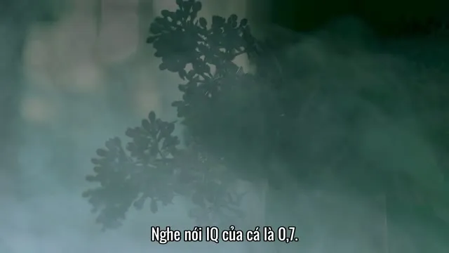 Sát Nhân Áo Mưa: Truy Lùng Hung Thủ Ở Hàn Quốc 2021 Vietsub HD - TVHay Sát Nhân Áo Mưa: Truy Lùng Hung Thủ Ở Hàn Quốc 2021 Vietsub HD - TVHay