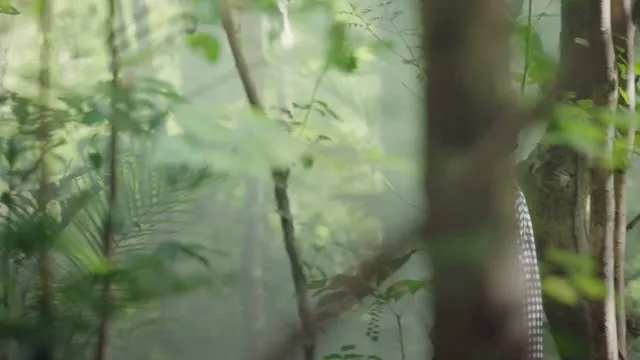 Mưa Không Rơi Trên Vùng Đất Vô Thần 2021 Vietsub HD - TVHay Mưa Không Rơi Trên Vùng Đất Vô Thần 2021 Vietsub HD - TVHay