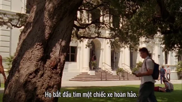 Xem phim Dân Chơi Hazzard: Khởi Đầu Vietsub HD tại TVHay Xem phim Dân Chơi Hazzard: Khởi Đầu Vietsub HD tại TVHay