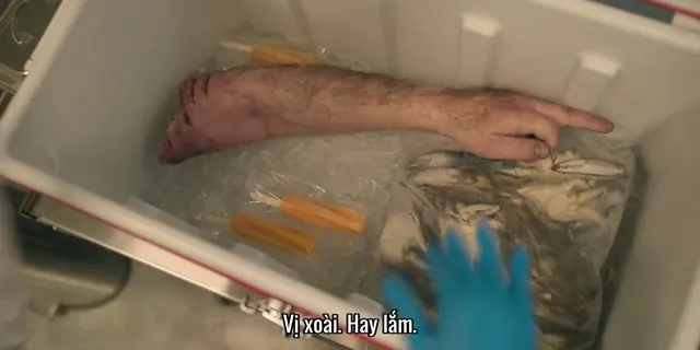 Xem phim Trò Khỉ Vietsub HD tại TVHay Xem phim Trò Khỉ Vietsub HD tại TVHay