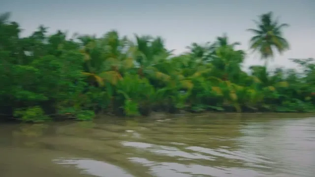 Cuộc Hành Trình Tuyệt Vời (Phần 4) 2019 Vietsub HD - TVHay Cuộc Hành Trình Tuyệt Vời (Phần 4) 2019 Vietsub HD - TVHay