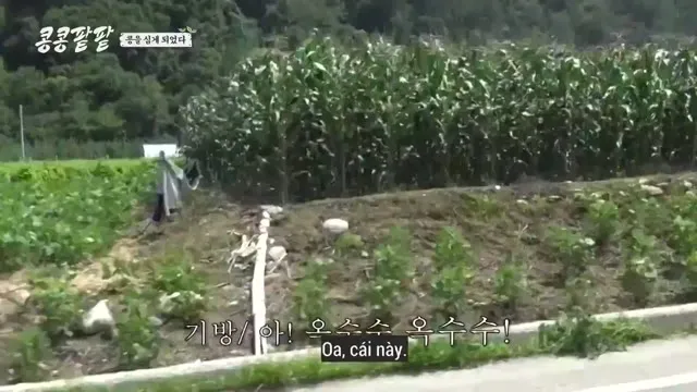 Hình ảnh trong phim Gieo Gì Gặt Nấy trên TVHay Hình ảnh trong phim Gieo Gì Gặt Nấy trên TVHay
