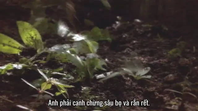 Xem phim Emicida: Amarelo Tất Cả Vì Ngày Hôm Qua Vietsub HD tại TVHay Xem phim Emicida: Amarelo Tất Cả Vì Ngày Hôm Qua Vietsub HD tại TVHay