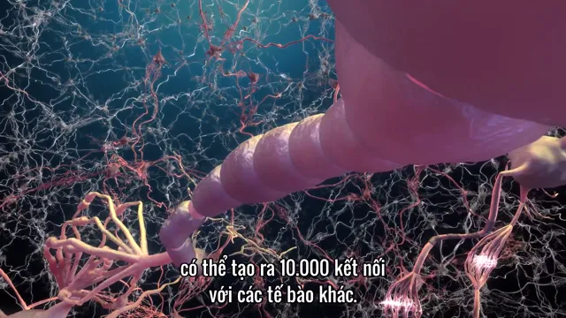 Xem phim Con người: Thế giới bên trong cơ thể Vietsub HD tại TVHay Xem phim Con người: Thế giới bên trong cơ thể Vietsub HD tại TVHay
