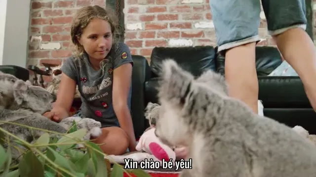 Xem phim Thế giới gấu túi của Izzy (Phần 2) Vietsub HD tại TVHay Xem phim Thế giới gấu túi của Izzy (Phần 2) Vietsub HD tại TVHay