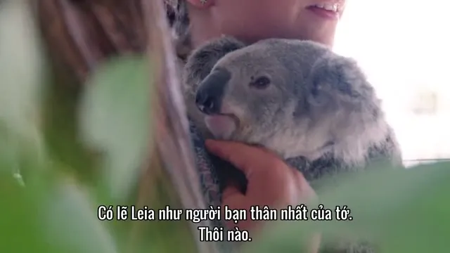 Xem phim Thế giới gấu túi của Izzy (Phần 1) Vietsub HD tại TVHay Xem phim Thế giới gấu túi của Izzy (Phần 1) Vietsub HD tại TVHay