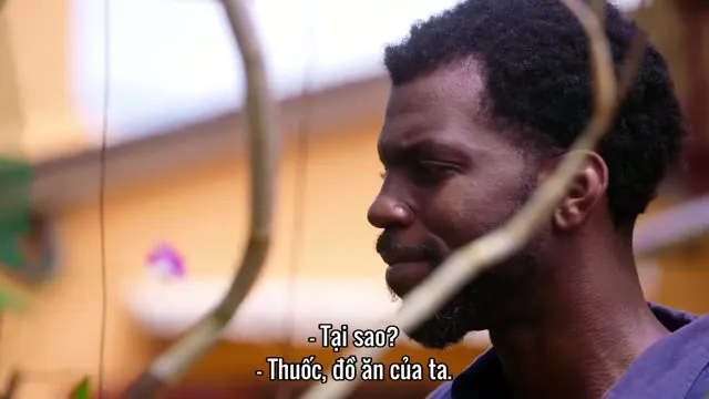High on the Hog: Ẩm thực Mỹ gốc Phi đã thay đổi Hoa Kỳ như thế nào (Mùa 1) 2021 Vietsub HD - TVHay High on the Hog: Ẩm thực Mỹ gốc Phi đã thay đổi Hoa Kỳ như thế nào (Mùa 1) 2021 Vietsub HD - TVHay