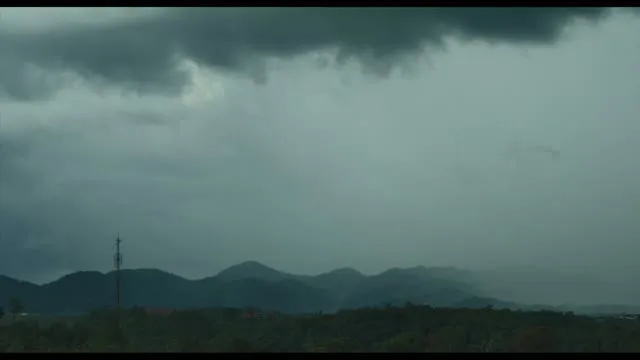 Bên Trong Vỏ Kén Vàng 2023 Vietsub HD - TVHay Bên Trong Vỏ Kén Vàng 2023 Vietsub HD - TVHay