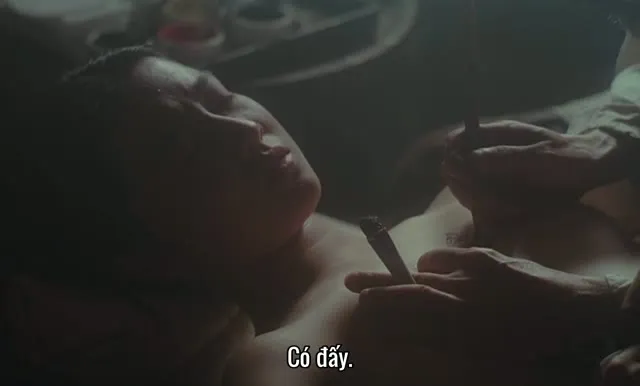 Bướm Phượng 1996 Vietsub HD - TVHay Bướm Phượng 1996 Vietsub HD - TVHay