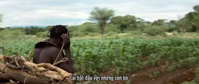 Hình ảnh trong phim Lạc Đến Châu Phi trên TVHay Hình ảnh trong phim Lạc Đến Châu Phi trên TVHay