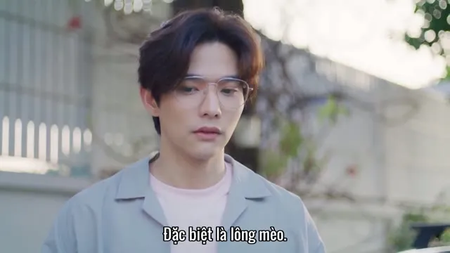 Xem phim Công Chúa Ngổ Ngáo Người Đẹp Ngủ Trong Rừng Vietsub HD tại TVHay Xem phim Công Chúa Ngổ Ngáo Người Đẹp Ngủ Trong Rừng Vietsub HD tại TVHay