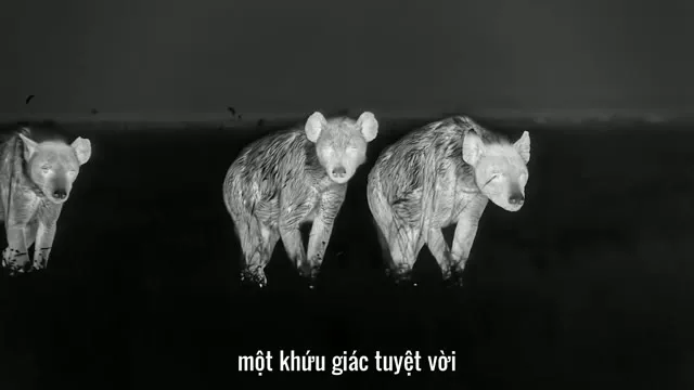 Hình ảnh trong phim Lớp Thú trên TVHay Hình ảnh trong phim Lớp Thú trên TVHay