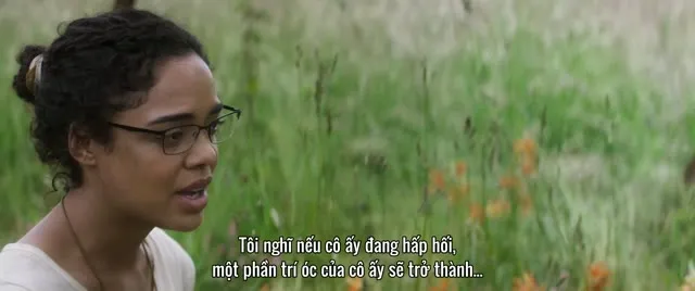 Hình ảnh trong phim Vùng Hủy Diệt trên TVHay Hình ảnh trong phim Vùng Hủy Diệt trên TVHay