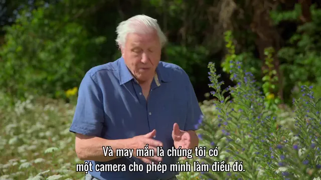 Hình ảnh David Attenborough: Sự Sống Đầy Màu Sắc tập 2 trên TVHay Hình ảnh David Attenborough: Sự Sống Đầy Màu Sắc tập 2 trên TVHay