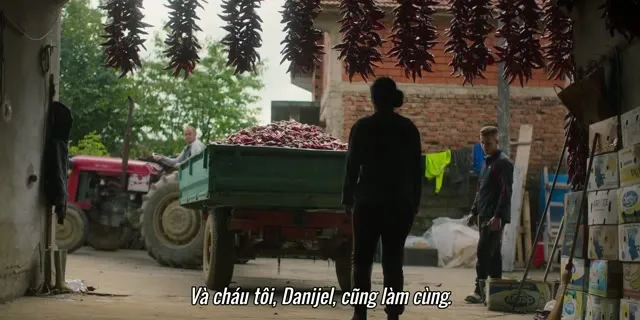 Xem phim Động Vật Ăn Tạp Vietsub HD tại TVHay Xem phim Động Vật Ăn Tạp Vietsub HD tại TVHay