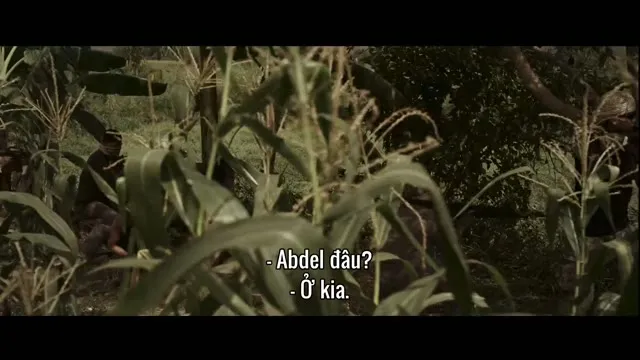 Moro 2023 Vietsub HD - TVHay Moro 2023 Vietsub HD - TVHay