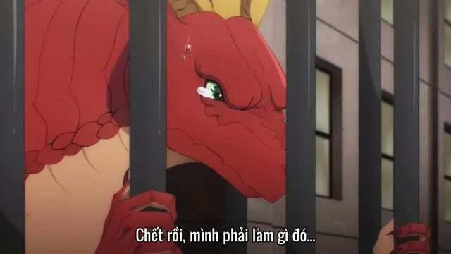 Hình ảnh trong phim Rồng Đi Tìm Nhà trên TVHay Hình ảnh trong phim Rồng Đi Tìm Nhà trên TVHay