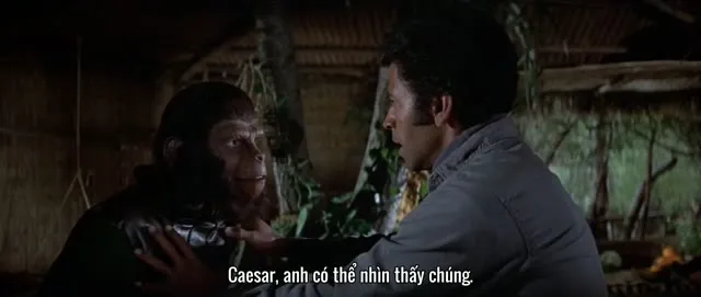 Xem phim Cuộc Chiến Cho Hành Tinh Khỉ Vietsub HD tại TVHay Xem phim Cuộc Chiến Cho Hành Tinh Khỉ Vietsub HD tại TVHay