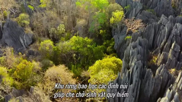 Xem phim Những Công Viên Quốc Gia Kỳ Diệu Vietsub HD tại TVHay Xem phim Những Công Viên Quốc Gia Kỳ Diệu Vietsub HD tại TVHay
