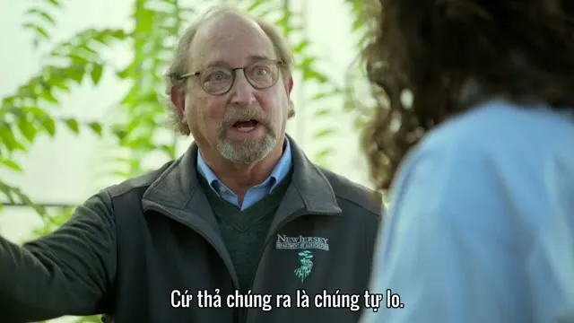 Hiếu Kỳ Cùng Jonathan Van Ness 2022 Vietsub HD - TVHay Hiếu Kỳ Cùng Jonathan Van Ness 2022 Vietsub HD - TVHay