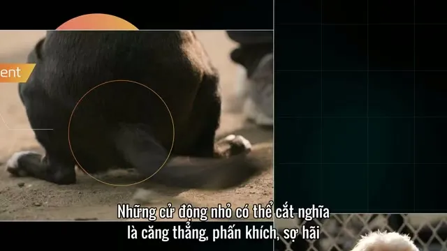 Xem Tương Lai Của… tập 8 Vietsub tại TVHay Xem Tương Lai Của… tập 8 Vietsub tại TVHay