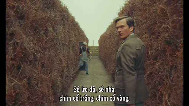 Hình ảnh trong phim Câu chuyện kì diệu về Henry Sugar và ba chuyện khác trên TVHay Hình ảnh trong phim Câu chuyện kì diệu về Henry Sugar và ba chuyện khác trên TVHay