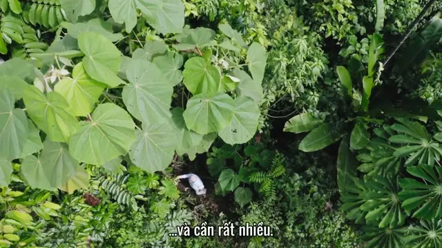 Xem Hành Tinh Xanh tập 2 Vietsub tại TVHay Xem Hành Tinh Xanh tập 2 Vietsub tại TVHay