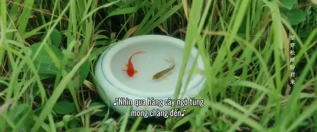 Hình ảnh trong phim Tân Nương Giấy trên TVHay Hình ảnh trong phim Tân Nương Giấy trên TVHay