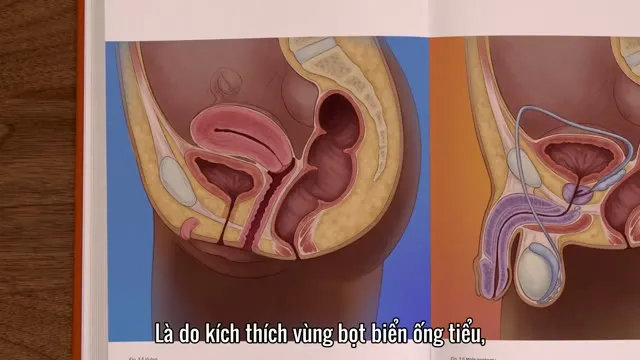 Hình ảnh trong phim Nguyên Tắc Của Khoái Lạc trên TVHay Hình ảnh trong phim Nguyên Tắc Của Khoái Lạc trên TVHay