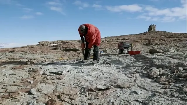 Hình ảnh Ancient Earth: Dinosaurs Of The Frozen Continent tập 2 trên TVHay Hình ảnh Ancient Earth: Dinosaurs Of The Frozen Continent tập 2 trên TVHay