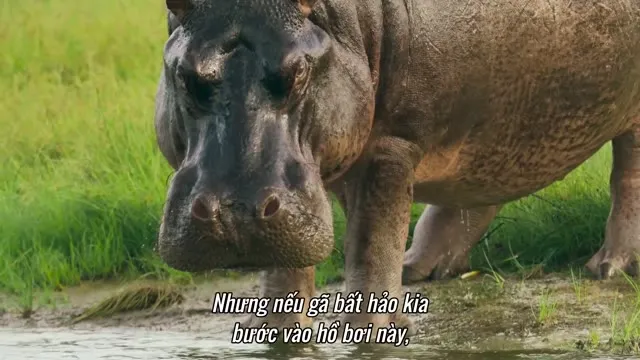 Hình ảnh trong phim Thế Giới Sống Của Chúng Ta trên TVHay Hình ảnh trong phim Thế Giới Sống Của Chúng Ta trên TVHay