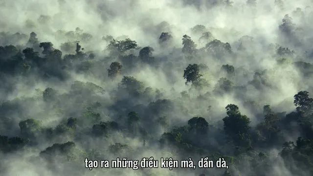 Xem phim Sự Sống Trên Hành Tinh Xanh Vietsub HD tại TVHay Xem phim Sự Sống Trên Hành Tinh Xanh Vietsub HD tại TVHay