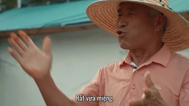 Xem phim Hàn Quốc: Xứ Sở Kim Chi Vietsub HD tại TVHay Xem phim Hàn Quốc: Xứ Sở Kim Chi Vietsub HD tại TVHay