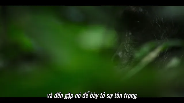 Xem phim Đế Chế Tinh Tinh Vietsub HD tại TVHay Xem phim Đế Chế Tinh Tinh Vietsub HD tại TVHay