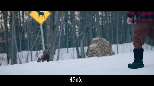Chó và Mèo 2024 Vietsub HD - TVHay Chó và Mèo 2024 Vietsub HD - TVHay