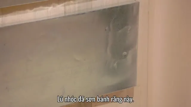 Tối Ưu Hóa Không Gian Nhà 2023 Vietsub HD - TVHay Tối Ưu Hóa Không Gian Nhà 2023 Vietsub HD - TVHay