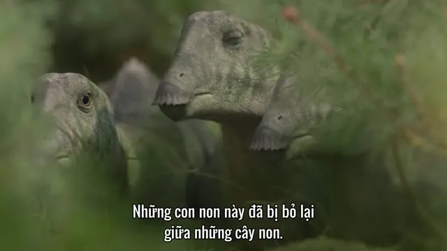 Xem phim Hành Tinh Thời Tiền Sử (Phần 2) Vietsub HD tại TVHay Xem phim Hành Tinh Thời Tiền Sử (Phần 2) Vietsub HD tại TVHay