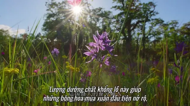 Hình ảnh trong phim Hòn Đảo Của Sói Biển trên TVHay Hình ảnh trong phim Hòn Đảo Của Sói Biển trên TVHay