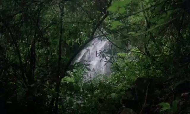 Trại Tù Amazon 1982 Vietsub HD - TVHay Trại Tù Amazon 1982 Vietsub HD - TVHay