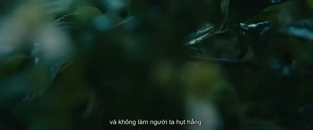 Xem phim 120 Nhịp Tim 1 Phút Vietsub HD tại TVHay Xem phim 120 Nhịp Tim 1 Phút Vietsub HD tại TVHay