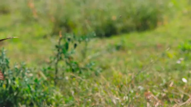 Thế Giới Siêu Nhỏ (Phần 2) 2021 Vietsub HD - TVHay Thế Giới Siêu Nhỏ (Phần 2) 2021 Vietsub HD - TVHay