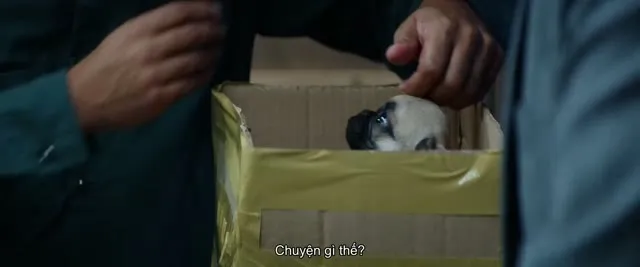 Hình ảnh trong phim Già Gân Trả Đũa trên TVHay Hình ảnh trong phim Già Gân Trả Đũa trên TVHay