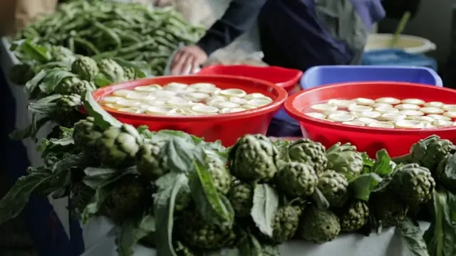 Hình ảnh trong phim Thế Giới Loài Mèo trên TVHay Hình ảnh trong phim Thế Giới Loài Mèo trên TVHay