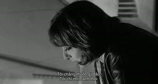 8 (1/2) 1963 Vietsub HD - TVHay 8 (1/2) 1963 Vietsub HD - TVHay