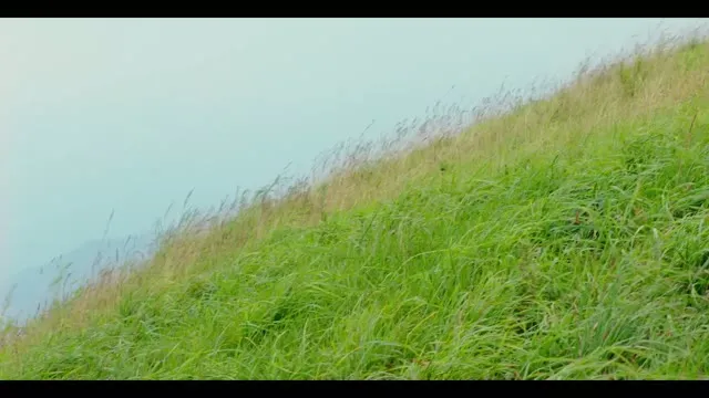 Xem phim Hạ Cánh Nơi Anh Vietsub HD tại TVHay Xem phim Hạ Cánh Nơi Anh Vietsub HD tại TVHay