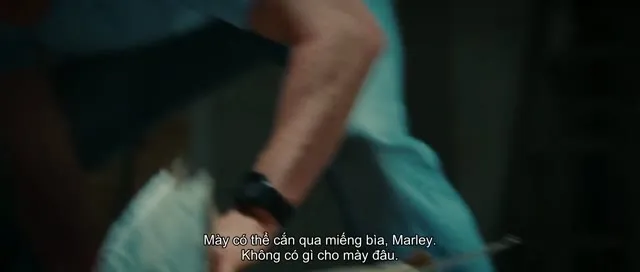 Hình ảnh trong phim Marley Và Tôi trên TVHay Hình ảnh trong phim Marley Và Tôi trên TVHay