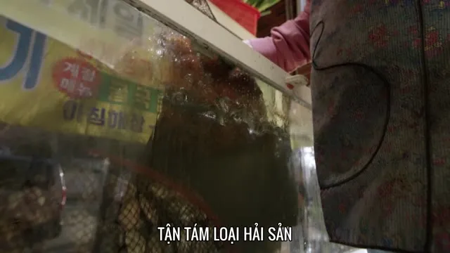 Hàn Quốc Qua Những Món Canh 2022 Vietsub HD - TVHay Hàn Quốc Qua Những Món Canh 2022 Vietsub HD - TVHay