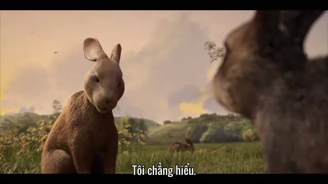 Xem phim Đồi Thỏ Vietsub HD tại TVHay Xem phim Đồi Thỏ Vietsub HD tại TVHay