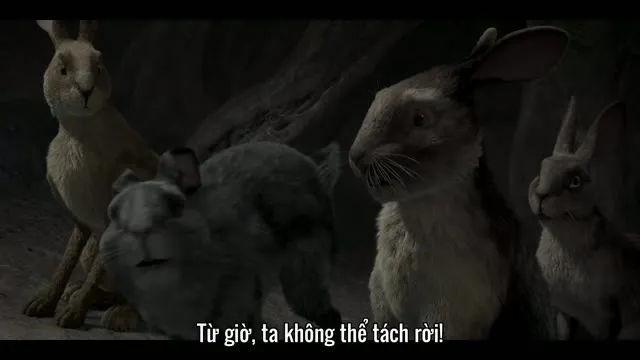Đồi Thỏ 2018 Vietsub HD - TVHay Đồi Thỏ 2018 Vietsub HD - TVHay
